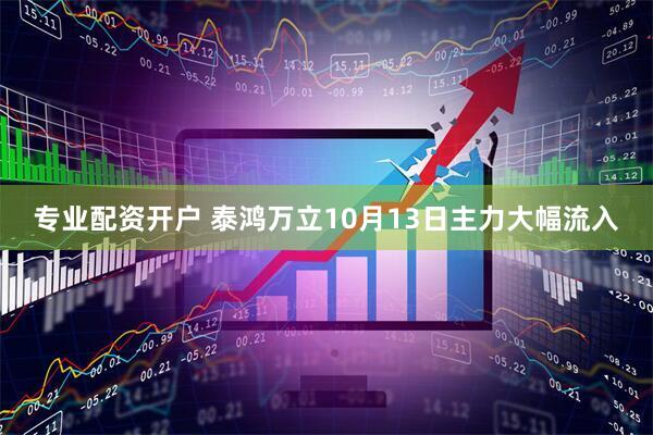 专业配资开户 泰鸿万立10月13日主力大幅流入
