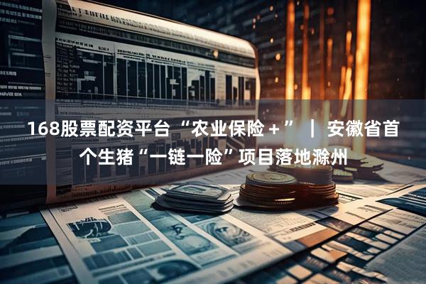 168股票配资平台 “农业保险＋” ｜ 安徽省首个生猪“一链一险”项目落地滁州