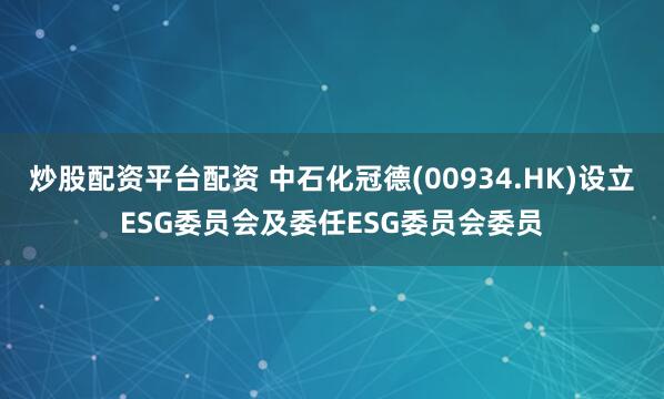 炒股配资平台配资 中石化冠德(00934.HK)设立ESG委员会及委任ESG委员会委员